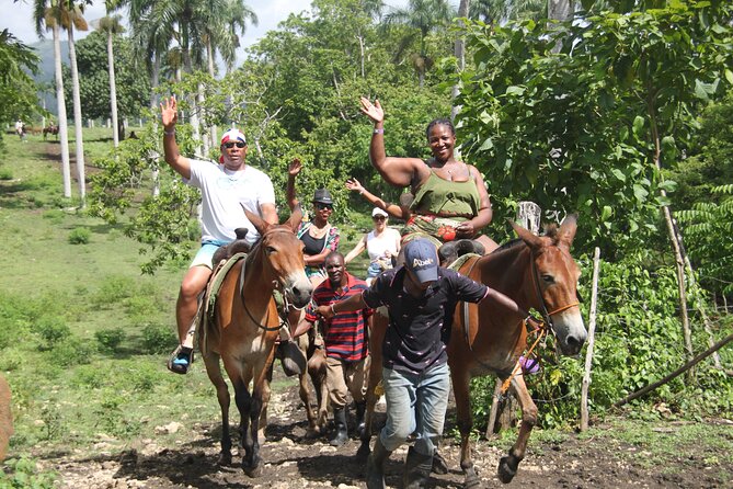 Horse back riding (Punta Cana/Bavaro) - Macao Beach Riding Time: Woods, Sand, and Real Expectations