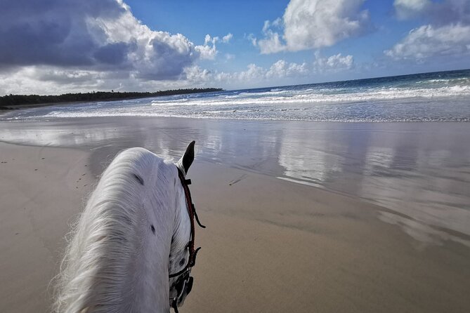 Horse Riding Experience through El Limon Beach - What Makes This Tour Worth Your Time