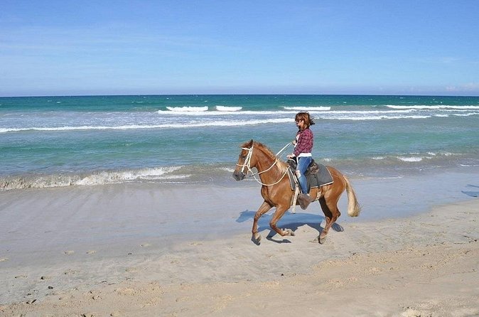 Horse Riding Experience through El Limon Beach - Who This Private Ride Suits Best