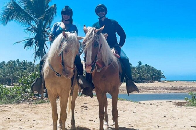 Horse Riding Experience through El Limon Beach - The Route: Dominican Village, Cattle Farms, and Wetlands