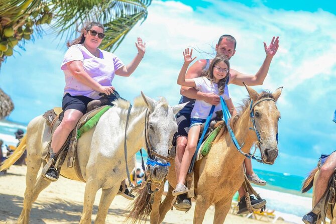 HORSEBACK - RIDE Through Punta Cana - Horse Condition Matters More Than You Think