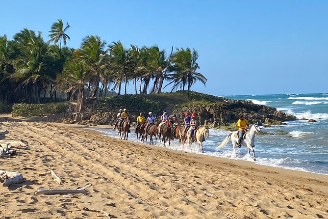 Horseback Riding Adventure Punta Cana - Key points before you go