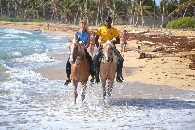 Horseback Riding Adventure Punta Cana - Horseback on Uvero Alto Beach: what makes this ride special