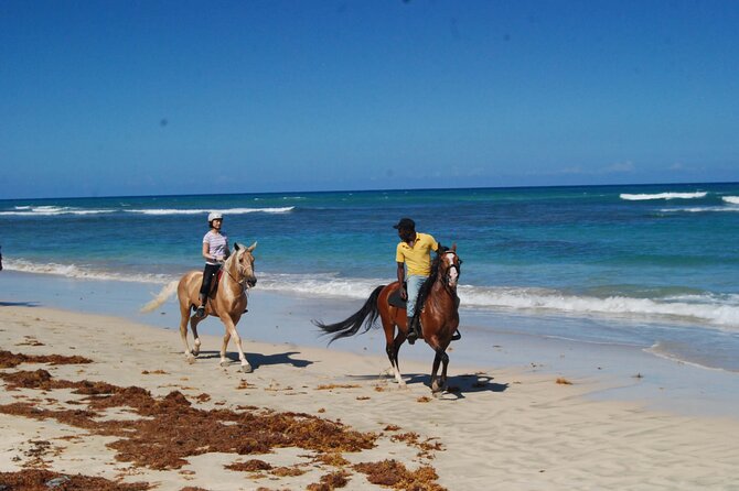 Horseback Riding Adventure Punta Cana - The ride itself: how the pace works on Uvero Alto Beach