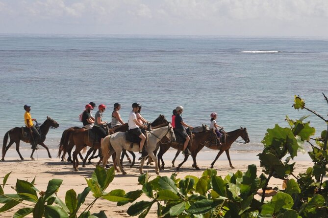Horseback Riding Adventure Punta Cana - Rum bottle souvenir and the photo pricing reality check