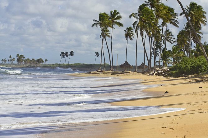 Horseback Riding Adventure Punta Cana - Price and value: is $40 really fair here?