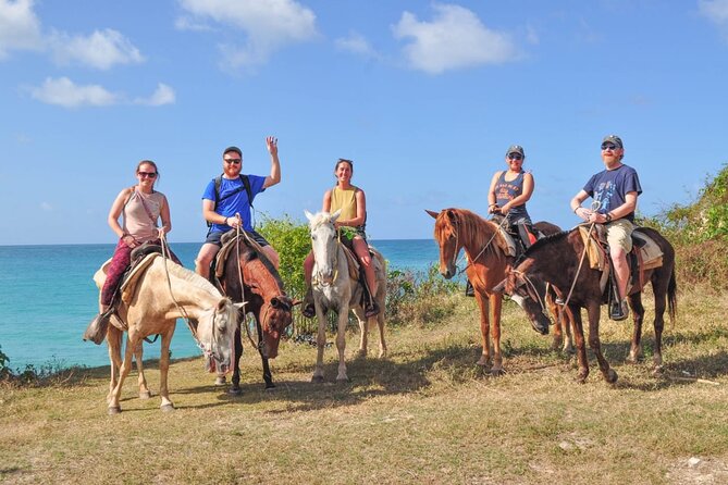 Horseback riding along Macao beach from Punta Cana - Key Highlights You Should Care About