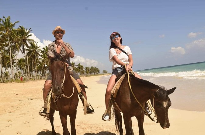Horseback riding along Macao beach from Punta Cana - The Real Value of Riding Here, Not Just Anywhere