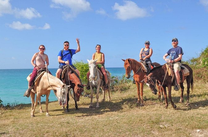 Horseback riding along Macao beach from Punta Cana - Price of $65: What You’re Really Paying For