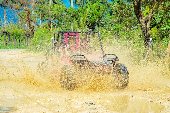 Horseback Riding and Buggy and Macau Cave and Beach Tour - Price and Value: Is $65 Worth It?