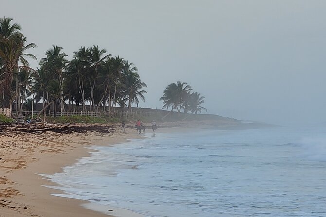 Horseback Riding at Sunrise on the Beach of Punta Cana - The Ride Experience on Sand: Calm, Scenic, and Photo-Friendly