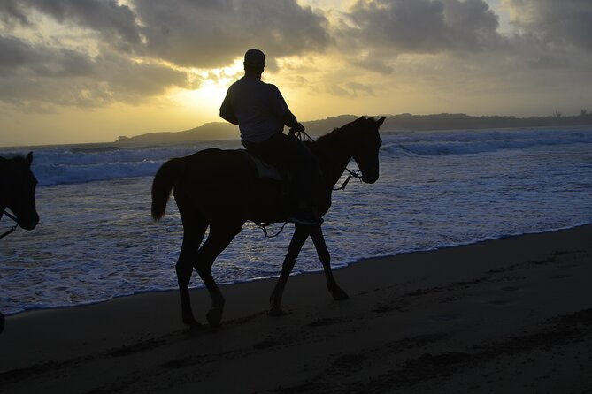 Horseback Riding at Sunrise on the Beach of Punta Cana - Pickup, Driver Behavior, and Group Size Reality Check