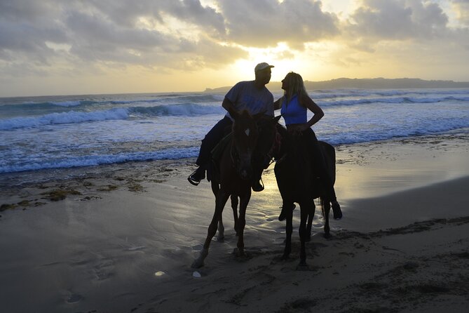 Horseback Riding at Sunrise on the Beach of Punta Cana - Who This Punta Cana Sunrise Horse Ride Fits Best