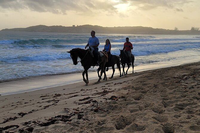 Horseback Riding at Sunrise on the Beach of Punta Cana - What the Instructor Does (and Why Jano Gets Mentioned)