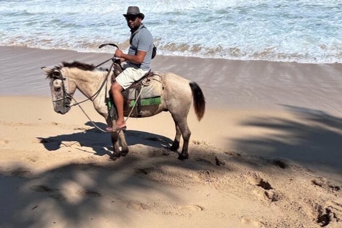 Horseback Riding Experience in Punta Cana - The 2-hour experience, and what the timing feels like in real life
