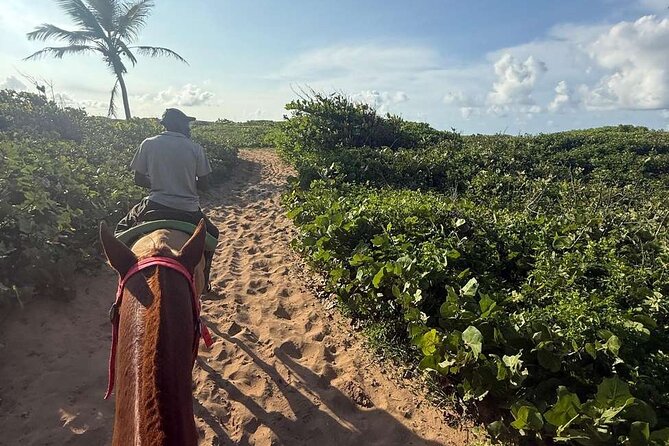 Horseback riding in punta cana beach and Bayahibe - Price and value: does $45 make sense?