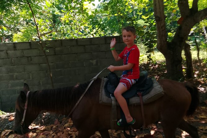 Horseback Riding in the Dominican Countryside from Puerto Plata - Getting From Puerto Plata to the Ranch With Roundtrip Comfort