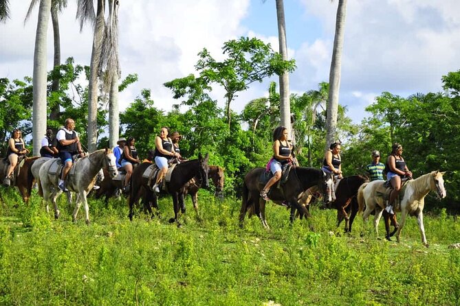 Horseback Riding in the Dominican Jungle - Price and value check for $69.99