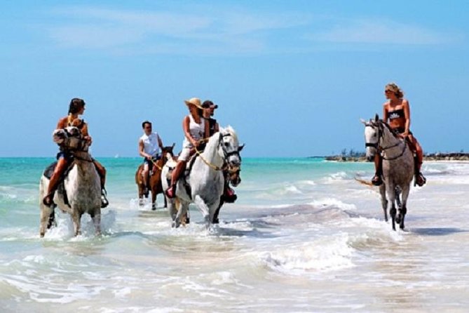 Horseback Riding on the Beach in Punta Cana (One Hour) - Key Highlights You Will Notice Right Away