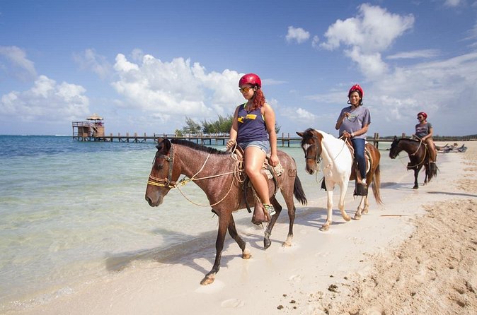 Horseback Riding on the Beach in Punta Cana (One Hour) - Entering The Forest, Then Rolling Into Sand