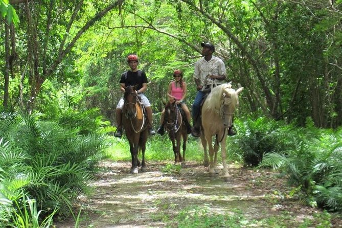 Horseback Riding on the Beach in Punta Cana (One Hour) - Bavaro Beach on Horseback, What the Route Is Like