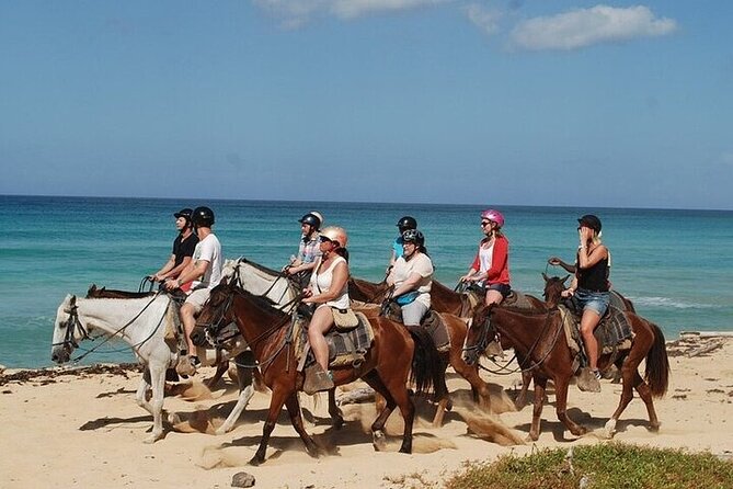 Horseback Riding on the Beaches of Punta Cana - Key highlights you should know before you go
