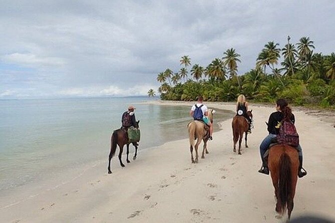 Horseback Riding on the Beaches of Punta Cana - Pickup, Mobile Tickets, and Group Size