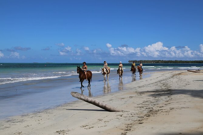 Horseback Riding on the Beaches of Punta Cana - Who This Tour Fits Best