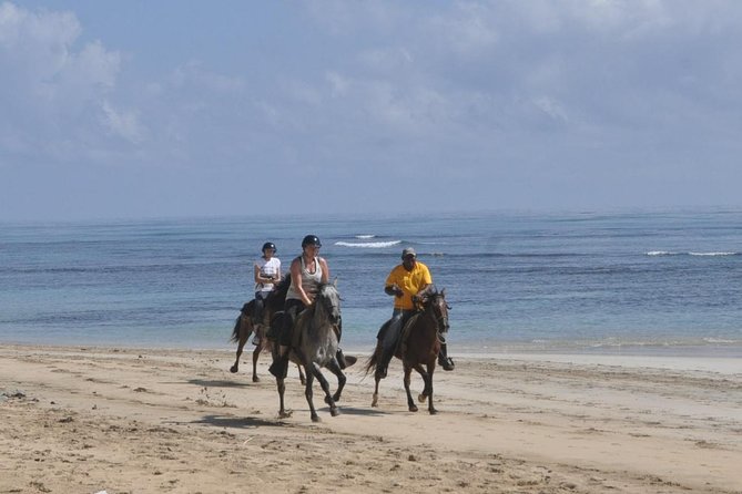 Horseback Riding Tour Adventure on the Beach - Riding Uvero Alto Beach: pace, views, and what you will feel