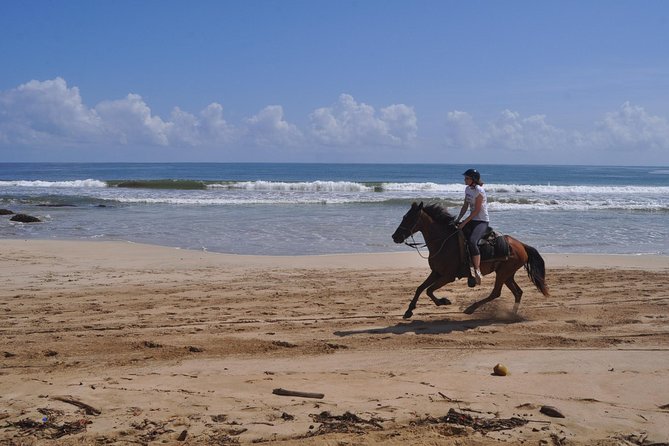 Horseback Riding Tour Adventure on the Beach - Group size and comfort: how to have a better ride with other people