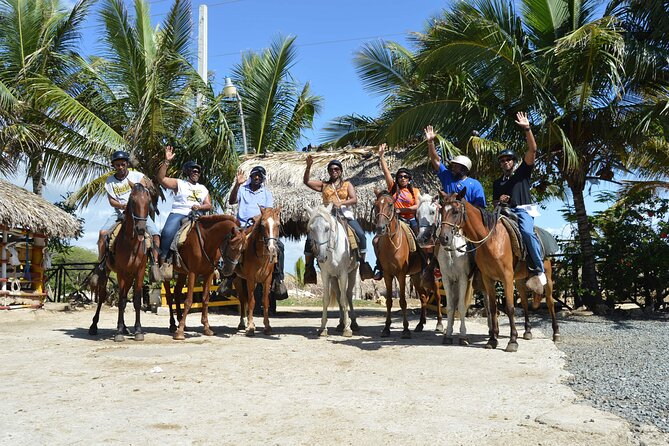 Horseback Riding Tour on the Beaches of Punta Cana - Pickup by Truck and Small-Group Convenience