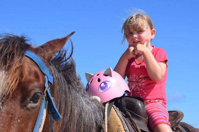 Horseback Riding Tour on the Beaches of Punta Cana - Photos, Sunset, and What the Ride Looks Like in Motion