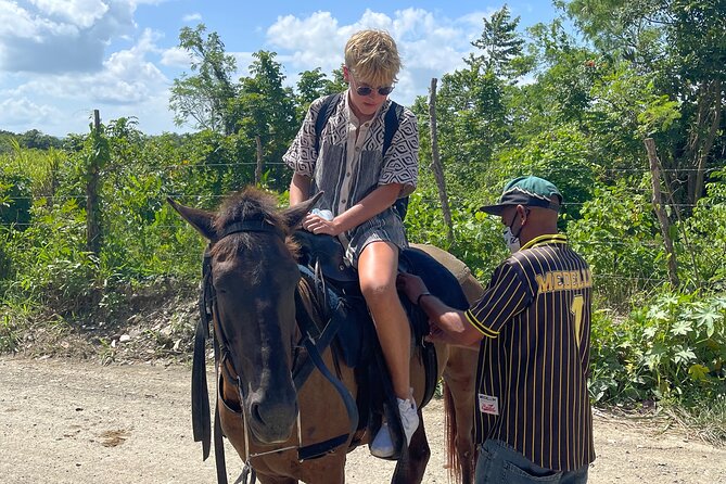 Horseback riding tours from amber cove & Taino bay port silver - Horses and guides: what first-timers should expect