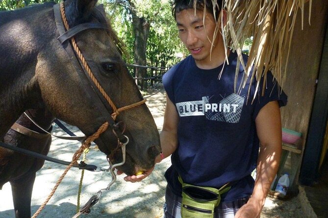 Horseback riding tours from amber cove & Taino bay port silver - Scenic routes that don’t feel like a drive-by