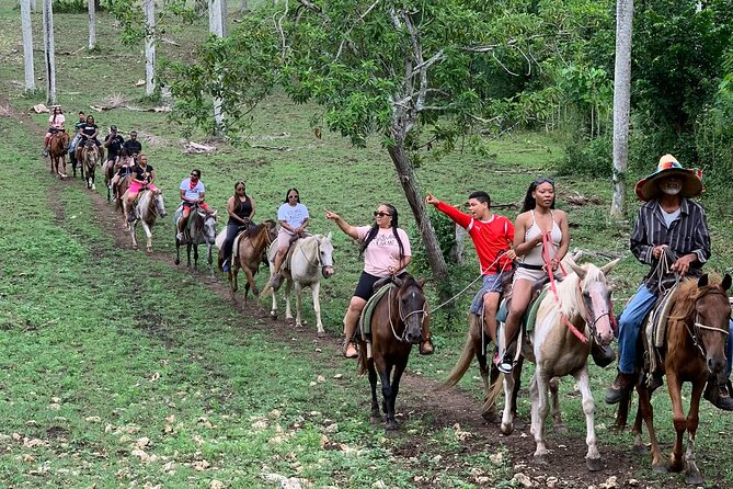 Horseback Riding with Pickup from Punta Cana - Key highlights