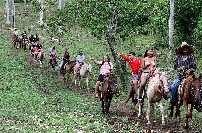 Horseback Riding with Pickup from Punta Cana - Value check: why $65 can make sense for Punta Cana