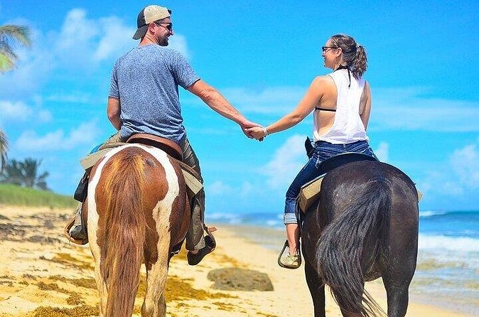 HorseBack Rinding to Macao Beach - Macao Beach Time: White Sand, Palms, and Caribbean Air