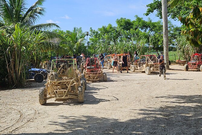 Horses, Buggy, and plantation in Chocaci Ranch - Key highlights you should care about