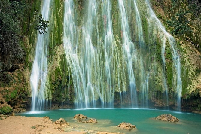 Humpback whales Watching + Samana Eco-Tour - El Salto del Limón: 50-meter waterfall plus the uphill factor