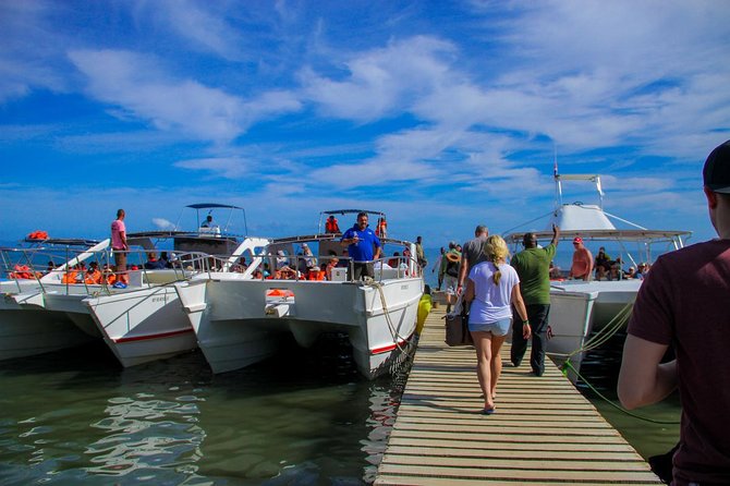 Humpback whales Watching + Samana Eco-Tour - Should you book Humpback whales Watching + Samana Eco-Tour?