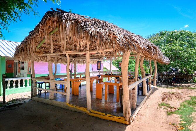 Immerse in Dominican Culture: Private Community Tour - A 6-Hour Plan That Feels Like More Than a Checklist