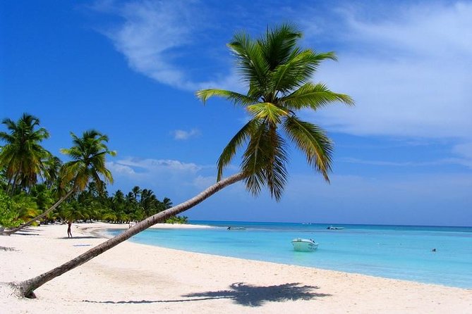 Isla Saona El Paraiso del Caribe - Quick takeaways before you go