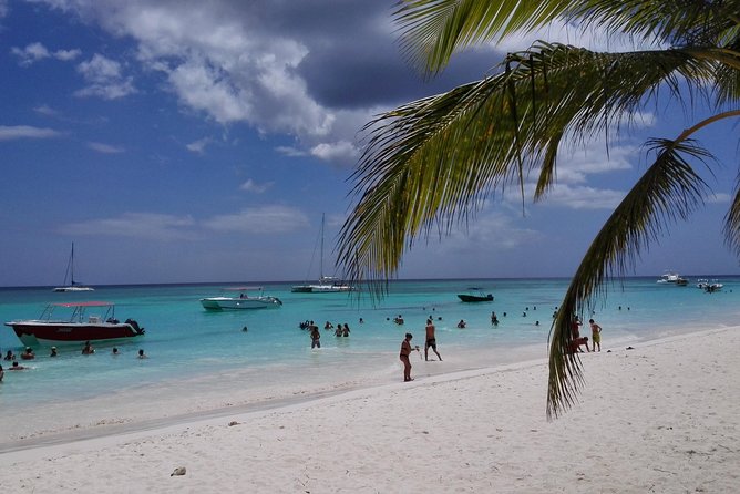 Isla Saona El Paraiso del Caribe - Your day on the clock, starting around 7:00 am