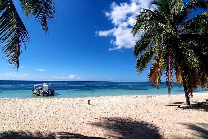 Island DE Saona: EN Small Group Tour on Trimaran Motorise - Key highlights at a glance