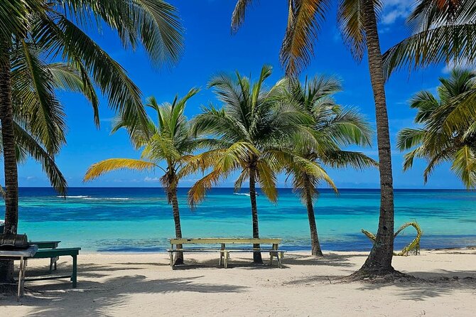 Island DE Saona: EN Small Group Tour on Trimaran Motorise - Saona Day, Small-Group Trimaran Out of Bayahibe