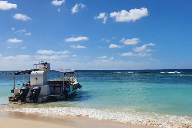 Island DE Saona: EN Small Group Tour on Trimaran Motorise - Canto de la Playa, wild beach time plus snorkeling in front