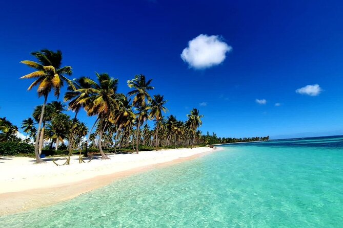 Island DE Saona: EN Small Group Tour on Trimaran Motorise - Food and drinks: what you truly get, and how it feels