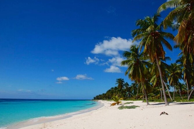 Island DE Saona: EN Small Group Tour on Trimaran Motorise - Price and value for $110, what’s included and what to budget