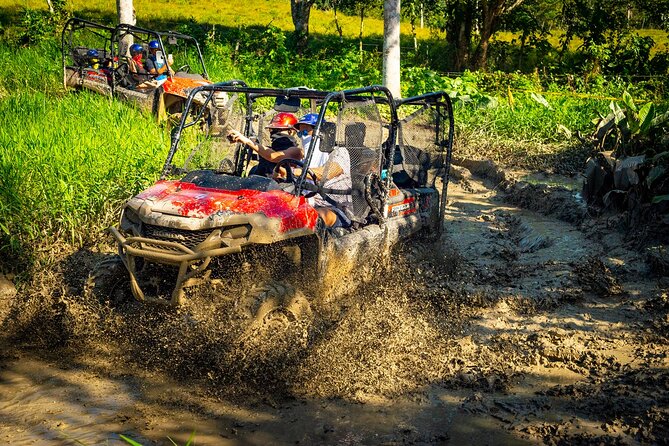 Jungle Buggies and Monkeyland from Punta Cana - Quick highlights
