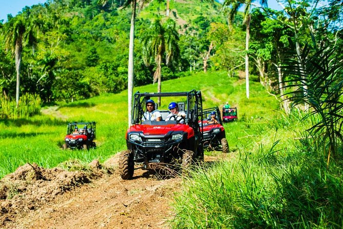 Jungle Buggies and Monkeyland from Punta Cana - Monkeyland: squirrel monkeys, guided rules, and real interaction
